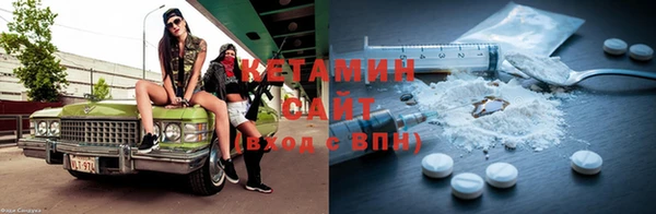 индика Надым
