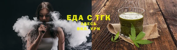 индика Надым