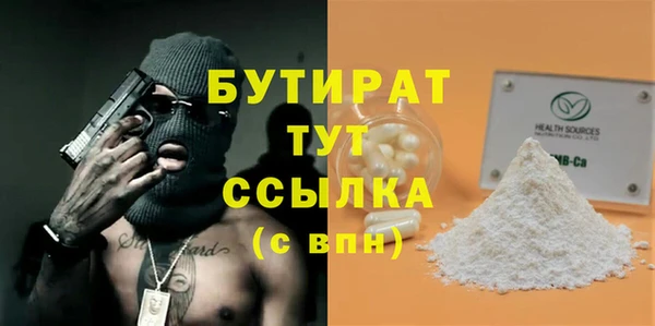 индика Надым