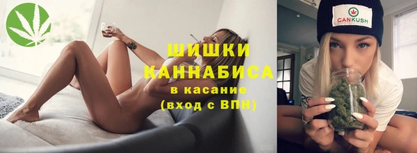 индика Надым