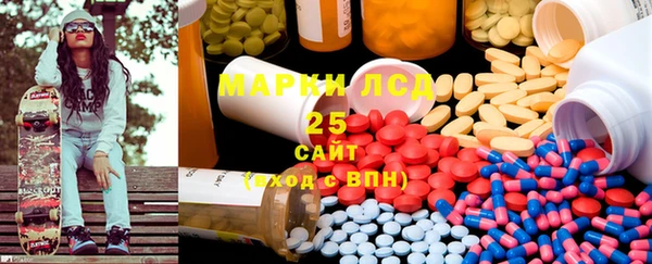 индика Надым