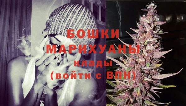 индика Надым