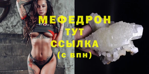 индика Надым