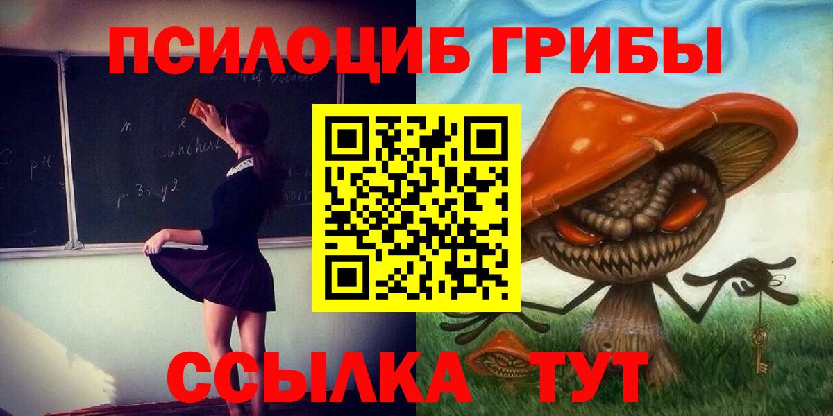Галлюциногенные грибы мухоморы Новороссийск