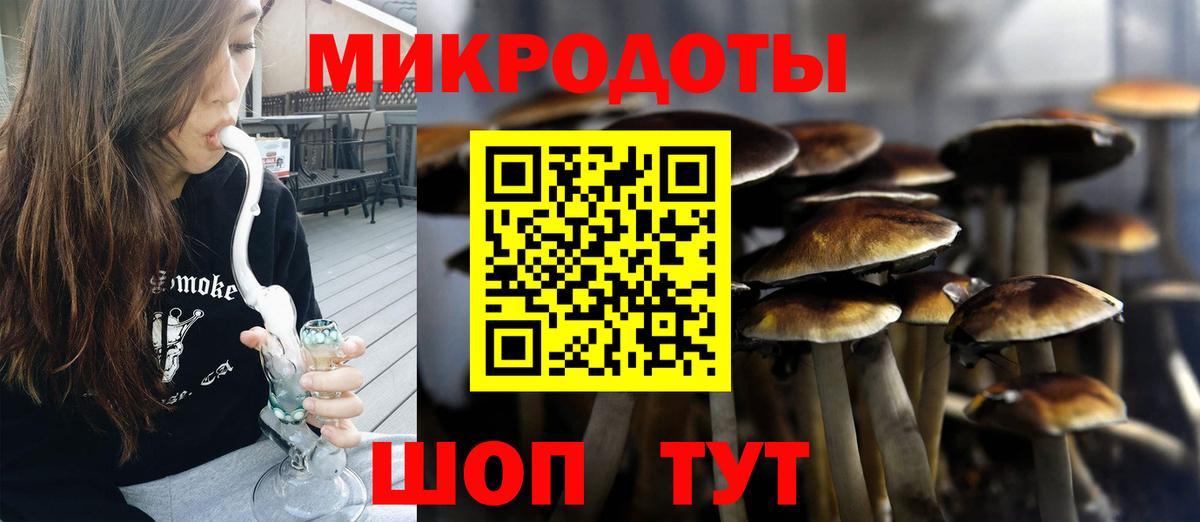 Новороссийск  Галлюциногенные грибы мухоморы  Галлюциногенные грибы ЛСД  Вход с VPN 
