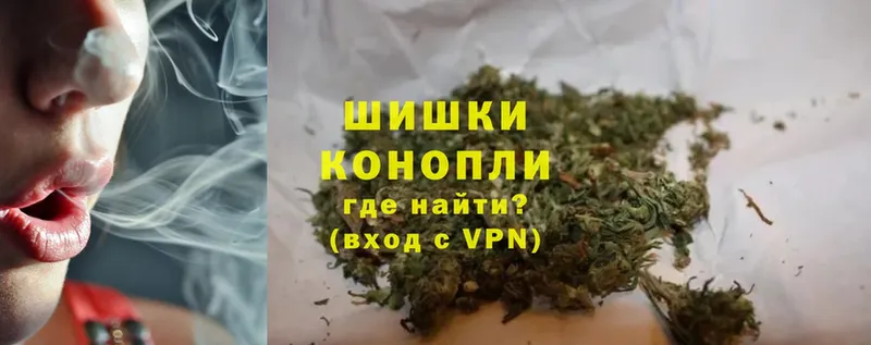 Конопля OG Kush  Новороссийск 