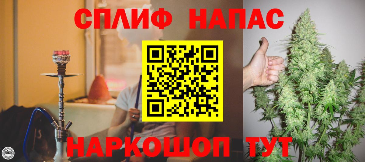 Псилоцибиновые грибы Новороссийск